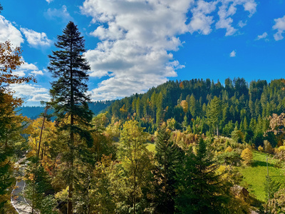 Schwarzwald-Herbst im Forbachtal Schwarzwald-Herbst im Forbachtal