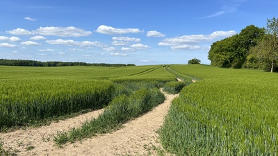 Schleswig-Holsteinische Landschaft Schleswig-Holsteinische Landschaft