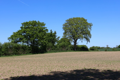 Landschaft im Frühling Landschaft im Frühling