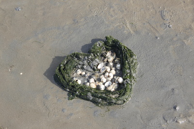 Strand mit Herz Strand mit Herz