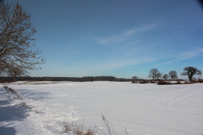 Winterwunderland Winterwunderland