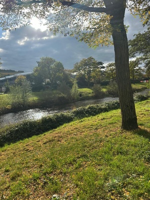 Herbstimpressionen an der Ahr Herbstimpressionen an der Ahr