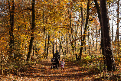 Waldspaziergang mit Papi Waldspaziergang mit Papi