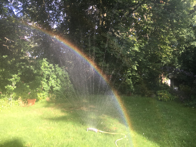 Regenbogen im Rasensprenger Regenbogen im Rasensprenger