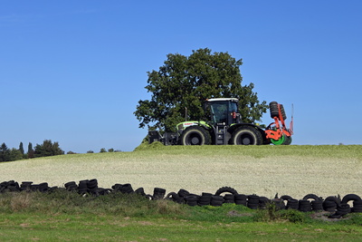 Landwirte bei der Maisernte