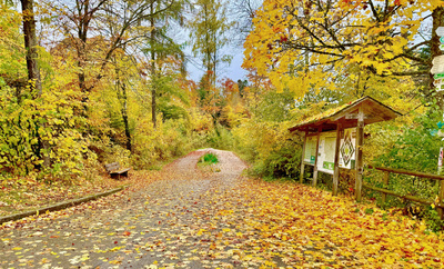 Herbstwanderung