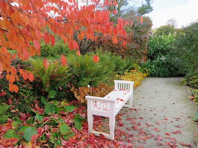Herbst im Botanischen Garten in München