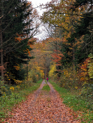 November Spaziergang