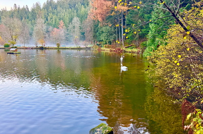 Herbst am Waldsee
