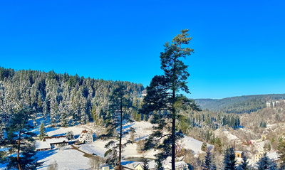 Bärenschlößle im Winter