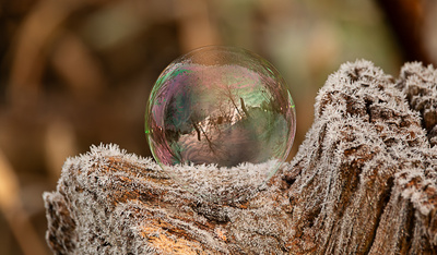 Gefrorene Seifenblase