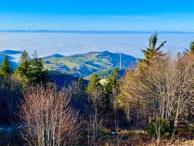 &Uuml;ber den Wolken