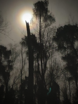 November Melancholie