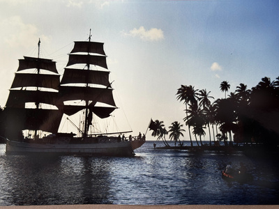 Gro&szlig;segler vor Palmen