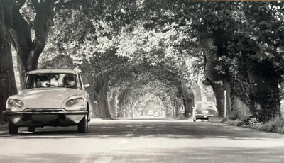 Landstra&szlig;e in S&uuml;dfrankreich