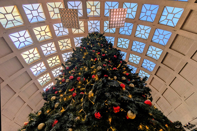 Weihnachtsbaum im Bahnhof Karlsruhe