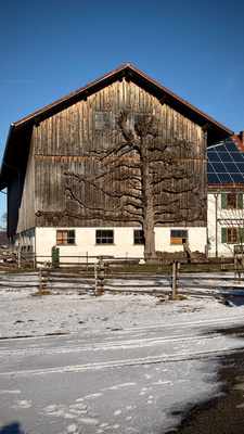 Bayerisches Bauernhaus in Windsteig