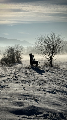 Bank im Schnee