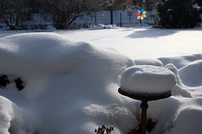 Schnee im Garten