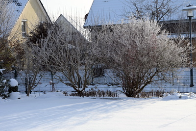 Winter in Barmstedt