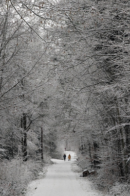 Winterspaziergang