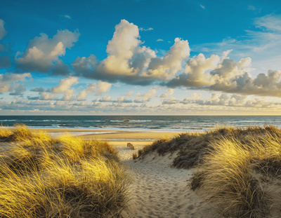 Morgensonne am Strand