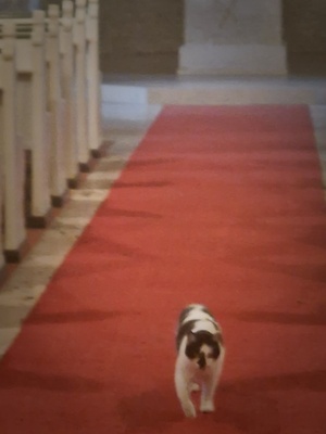 Spaziergang in der Kirche