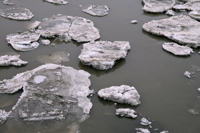 Scholle mal klein, mal gro&szlig;
