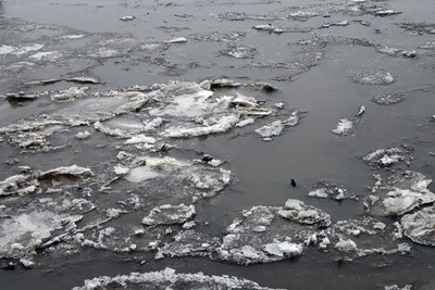 Eis treibt im Hafen von Kolmar
