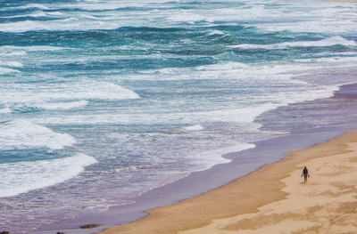 Einsamer Strandl&auml;ufer