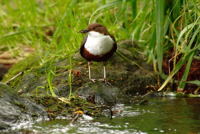 Konservenmaterial Cannon EOS 30D