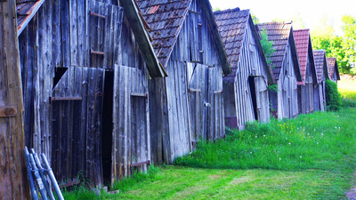 Wartend auf die Erntezeit