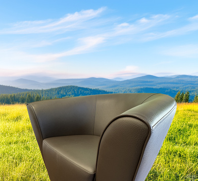 Ledersessel zum Wohlf&uuml;hlen