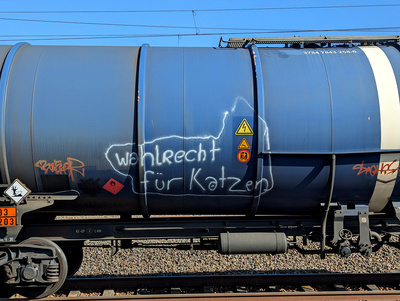 Wahlrecht f&uuml;r Katzen