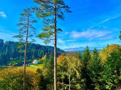 Schwarzwald-Ausblick bei Freudenstadt