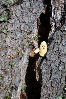 Schlossgespenst versteckt in der Baumh&ouml;hle