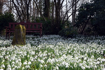 Auftanken bei den Bl&uuml;ten