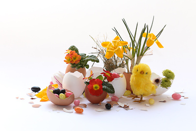 Ostergr&uuml;&szlig;e f&uuml;r Kinder