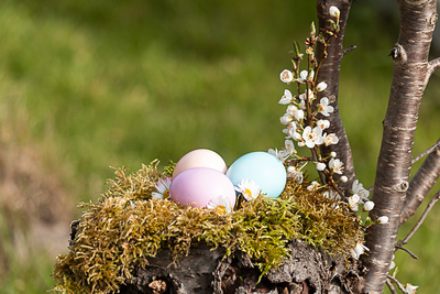 Ostergr&uuml;&szlig;e