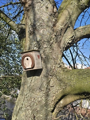 Sch&ouml;nes Vogelh&auml;uschen