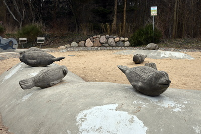 Spielplatz sch&ouml;n entworfen mit den Seehunden