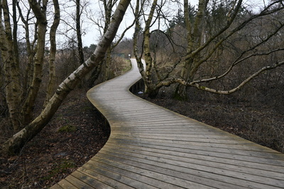 Sch&ouml;n wie sich der Pfad durch die Natur schl&auml;ngelt