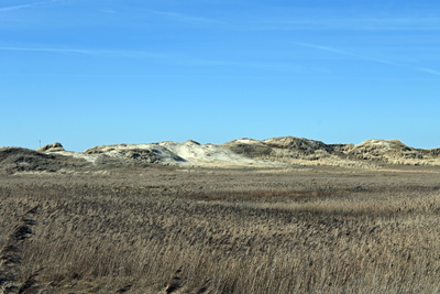 D&uuml;nen hinter den Salzwiesen