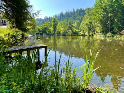 Waldsee-Idylle