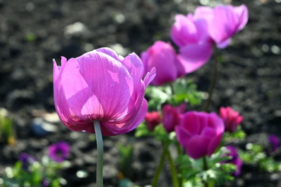 Sch&ouml;n mit dem Sonnenschein