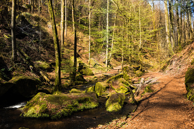 Karlstalstalschlucht im Fr&uuml;hling