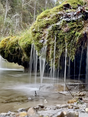Schleierf&auml;lle Morgenbach