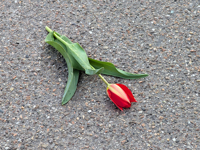 Verschm&auml;ht .....