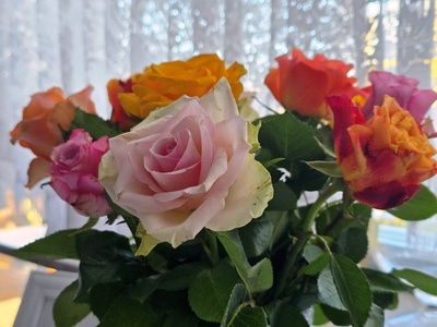 Bunter Rosenstrau&szlig;