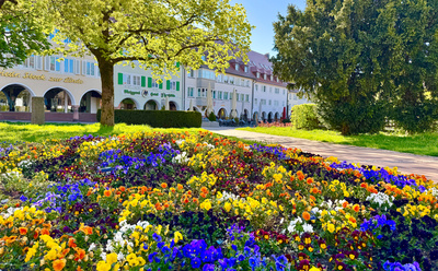 Blumenbeet am Freudenst&auml;dter Marktplatz